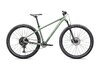 Specialized Rockhopper Comp Gloss Pistachio / White Mountains L - 29