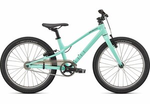 Specialized JETT 20 SS INT 20 OASIS/FOREST GREEN
