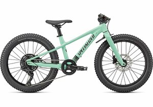 Specialized RIPROCK 20 INT 20 OASIS/BLACK
